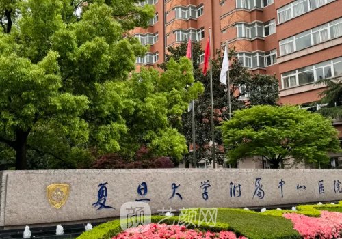 中山医院植发多少钱?因技
